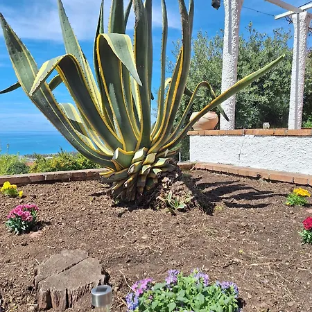 Pian Delle Vigne * Praia a Mare