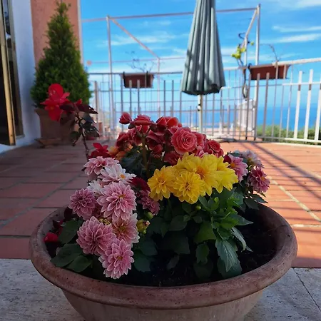 Pian Delle Vigne *