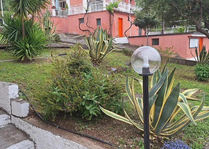 Pian Delle Vigne Bed & Breakfast Praia a Mare