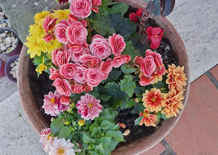 Bed & Breakfast Pian Delle Vigne *