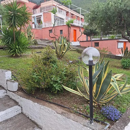 Pian Delle Vigne Couette-café Praia a Mare