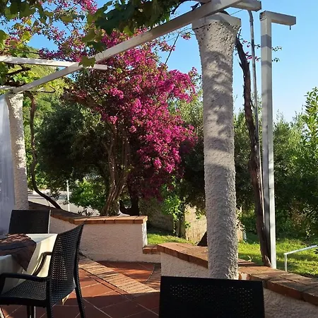 Bed and breakfast Pian Delle Vigne Praia a Mare