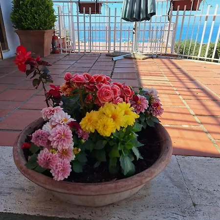 Pian Delle Vigne Couette-café Praia a Mare