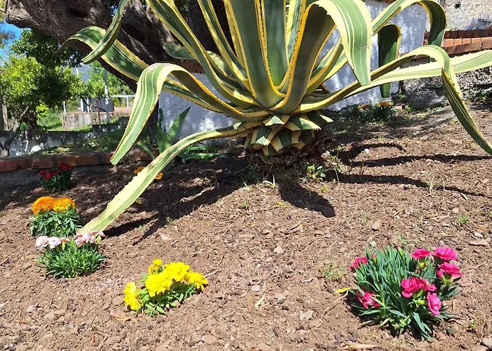 Pian Delle Vigne * Praia a Mare