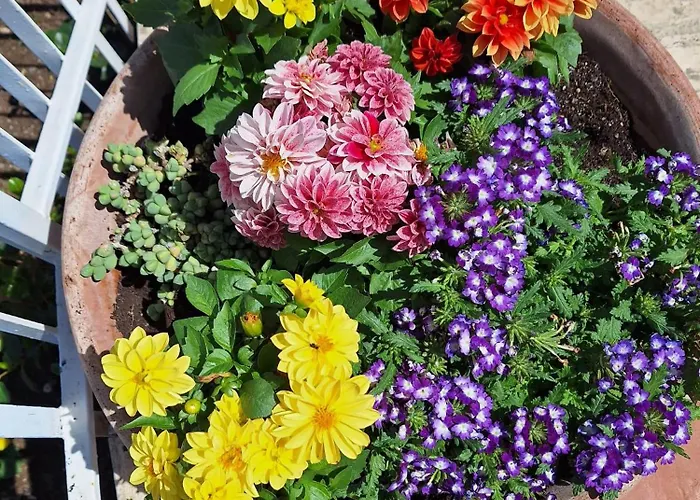 Bed & Breakfast Pian Delle Vigne Praia a Mare