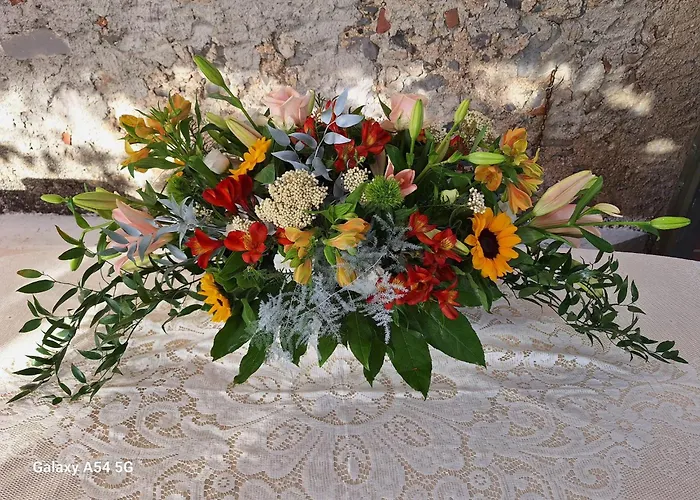 Pian Delle Vigne Praia a Mare