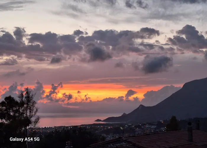 Pian Delle Vigne Bed & Breakfast Praia a Mare